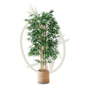 Maia Shop | Bambú Artificial | Plantas Artificiales Decorat…