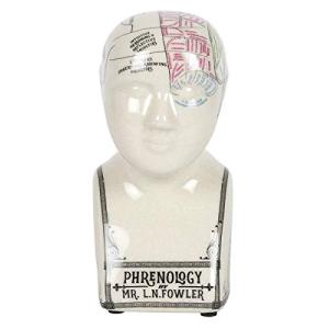 Small Crackle Phrenology Head (6/12)