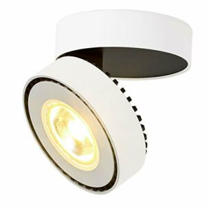 Dr.lazy Interior 12W LED Lámpara de techo, foco montado en…