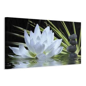 murando Cuadro en Lienzo Flores lirios de agua 150x50 cm 1…