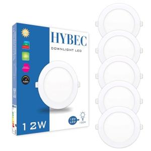 CLAR Hybec - Downlight LED techo empotrable, Foco LED Inter…