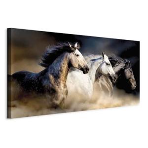 murando - Cuadro en Lienzo Caballo 120x60 cm impresión en m…