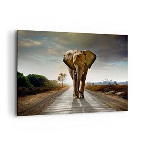Cuadros Decoracion Salon Elefante camino campo Lienzos deco…