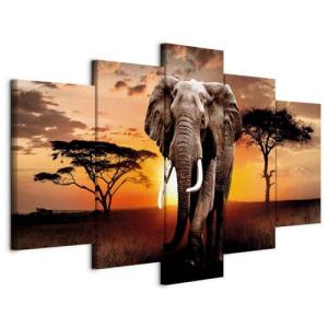 murando - Cuadro en Lienzo Africa Elefante 200x100 cm 5 pie…