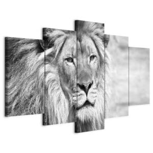 murando Cuadro en Lienzo León 100x50 cm Impresión de 5 Piez…