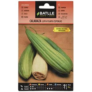 Semillas Batlle Calabaza LUFFA planta Esponjas
