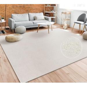 Paco Home Alfombra Salón Color Liso Discreta Moderna Pelo C…