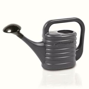 Regadera de jardin 5L Prosperplast Zebra en color antracita