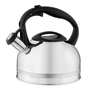 FLORINA Hervidor de Agua (1,9 l) I Tetera de Acero Inoxidab…