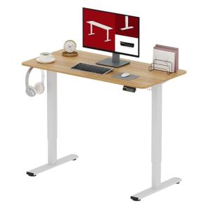 SANODESK 120 x 60 cm Escritorio Elevable Eléctrico con 2 Ga…