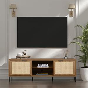 Skokliz Mueble de TV de ratán con 2 puertas y 2 compartimen…