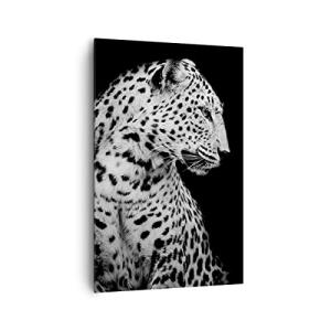 Cuadros Decoracion Salon leopardo pantera gato Lienzos deco…