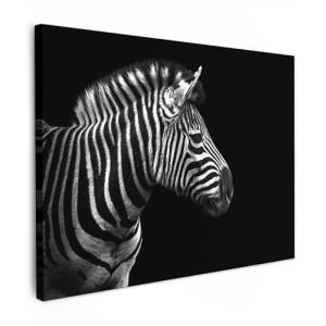 MuchoWow© Cuadros Decoracion Salon Modernos 70x50 cm Pintur…