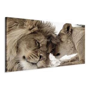 murando Cuadro Mega XXXL Leon 160x80 cm Cuadro en Lienzo en…