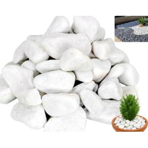 Canto Rodado Blanco 25-40MM para Decoración de Jardines y A…
