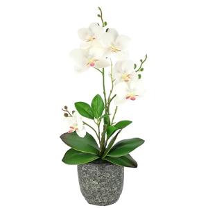 Flair Flower Orquídea Artificial con Hojas y raíces de Aire…