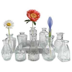 VELLUSTRA Jarrones 10 Set, Pequeño Jarrón de Cristal, Mini…