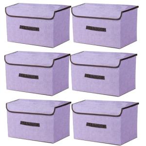 NCRGB Caja Almacenaje con Tapa,Cajas de Almacenaje Ropa,Cai…