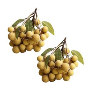 Warmhm 2 Piezas Modelo de Longan Artificial fruteros frutei…