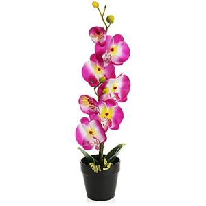 com-four® Orquídea Artificial en Maceta, Bonita Flor Artifi…