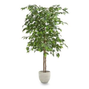 Maia Shop | Ficus Artificial | Plantas Artificiales Decorat…