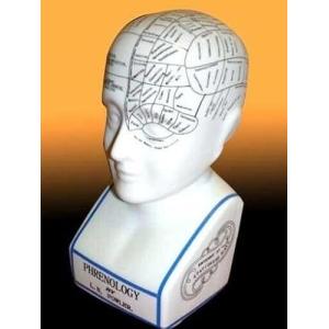 Freshnewlooks Phrenology Head L.N Fowler Porcelana Frenolog…