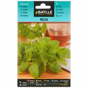 Batlle - Semillas - Melissa (Semillas - 60cm)