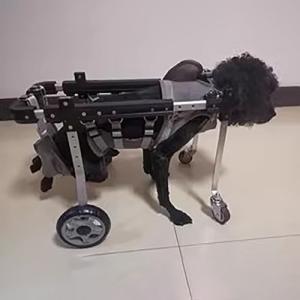 Genérico Silla de Ruedas Ajustable para Perros con discapac…
