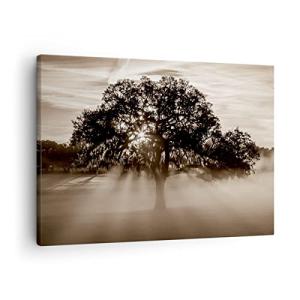 ARTTOR Lienzos decorativos arbol campo naturaleza Cuadro So…