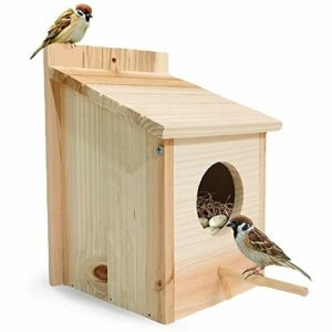 Casitas de Madera para Pajaros Exterior para Colgar en el J…