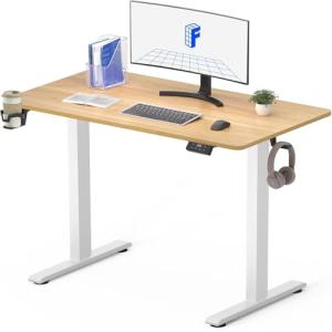 FLEXISPOT Escritorio Elevable con Tablero Entero 110x60 Mes…