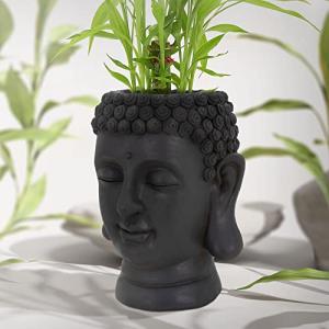ML-Design Maceta para Planta Figura Cabeza Buda Decoración…