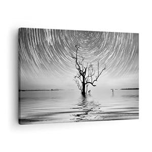 ARTTOR Lienzos decorativos Blanco Y Negro Árbol Lago Cuadro…