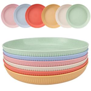 Juego de 6 platos plastico duro reutilizables de 23cm, plat…