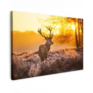 MuchoWow© Cuadros Decoracion Salon Modernos 120x80 cm Pintu…