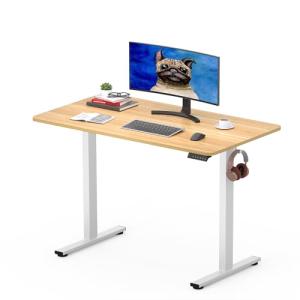 SANODESK con Tablero Escritorio Elevable Eléctrico 100 x 60…