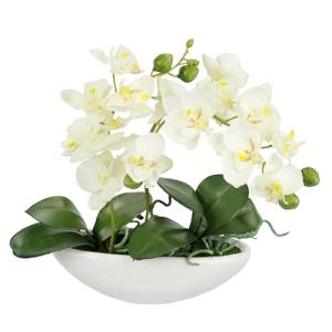Flair Flower Orquídea Artificial en Cuenco, Flor de orquíde…