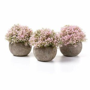 T4u Plantas Artificiales Plásticas Flor Decorativa en Macet…