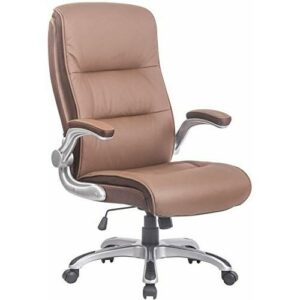 CLP Silla De Oficina Villach Tapizada En Símil Cuero & Base…