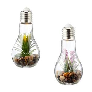 Juego de 2 bombillas LED suculentas de cristal de 8x19 cm p…