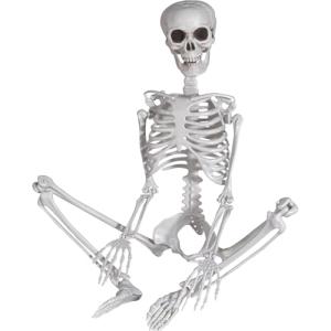 Esqueleto de Halloween de 90 cm de plástico con articulacio…