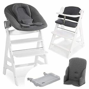Hauck Alpha Plus XXL Newborn Set - Trona Evolutiva Madera c…
