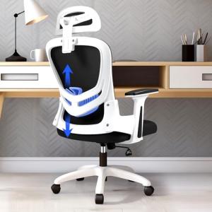 LEVIPE Silla de Oficina Ergonómica con Soporte Lumbar, Repo…