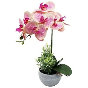 Rosa Flores Artificiales de Orquídea en Maceta, Orquídea Fa…