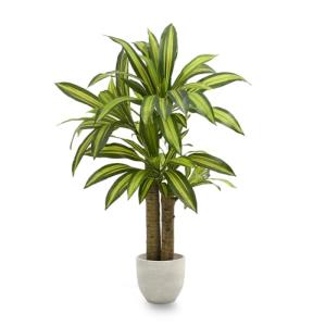 Maia Shop Plantas Artificiales Decorativas - Dracaena Artif…