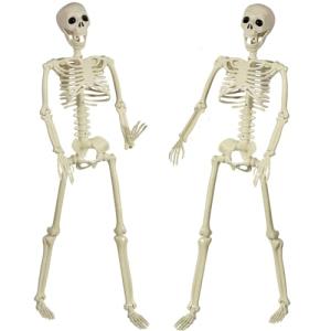 SIFOEL 90cm Halloween posable Esqueleto de Cuerpo Completo…