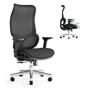 JOYFLY Silla Oficina Ergonómica con Asiento Ajustable, Sill…