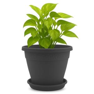 TECHZOCO Macetero con Plato, Maceta Redonda clásica de plás…