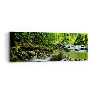 ARTTOR Lienzos decorativos Stream Bosque Naturaleza Cuadro…