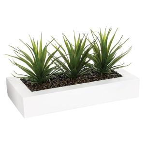 WELL HOME - Centro de mesa decorativo con 3 plantas Aloe Ve…